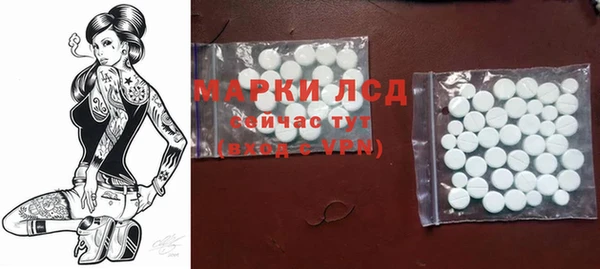 ПСИЛОЦИБИНОВЫЕ ГРИБЫ Алзамай