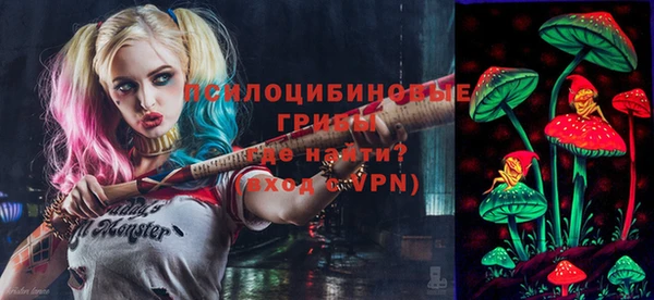 ПСИЛОЦИБИНОВЫЕ ГРИБЫ Алзамай